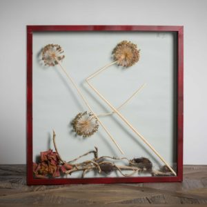 Serie Zen 1- materiali: piante di allium, rose, rami, paglia - 50x50 cm
